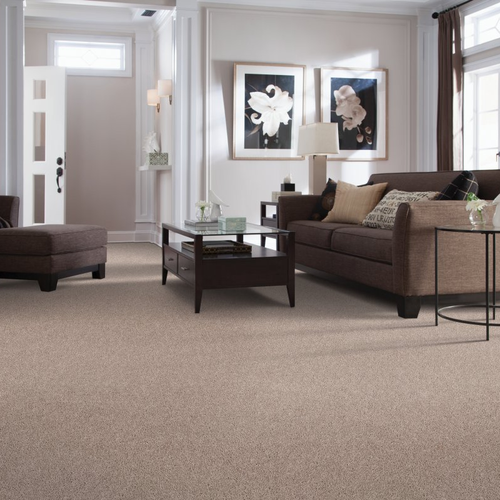 Good Brothers Flooring Plus providing stain-resistant pet proof carpet in Rocklin, CA
